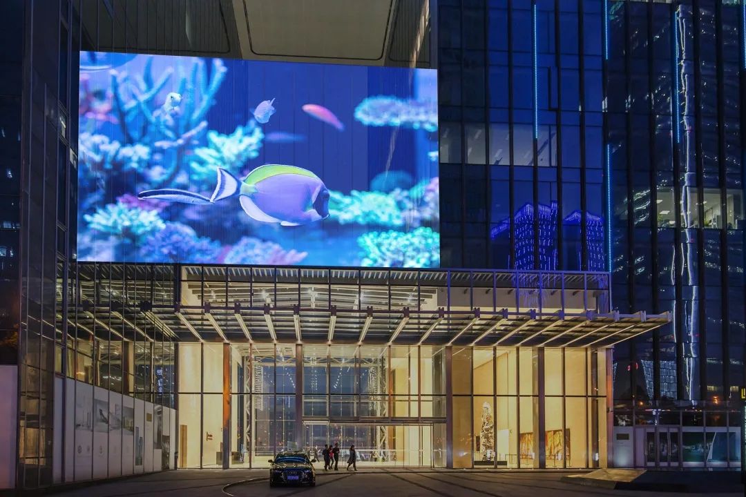 Transparent LED Display T3.9 1000 x 500(mm)