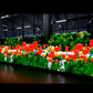 3' x 6' 2 SIDED P6.35 GOLD WIRE LED VIDEO MESSAGING DISPLAY